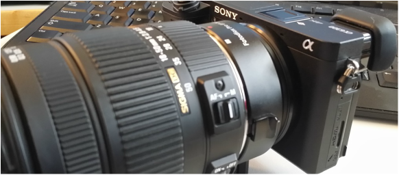 Sony a6300 w/ Fotodiox Pro Ef-NEX Auto Lens Adapter & Sigma 18-50mm 